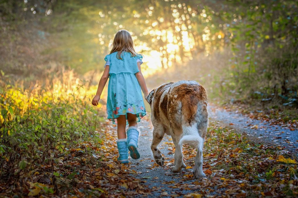 Dog Poop Pickup in Sterling Heights Michigan